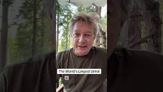 It Will Be The World’s Largest Urinal