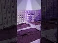 يارا معقول انساك 
