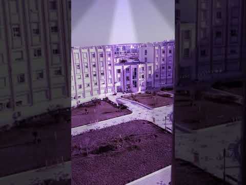 يارا معقول انساك 