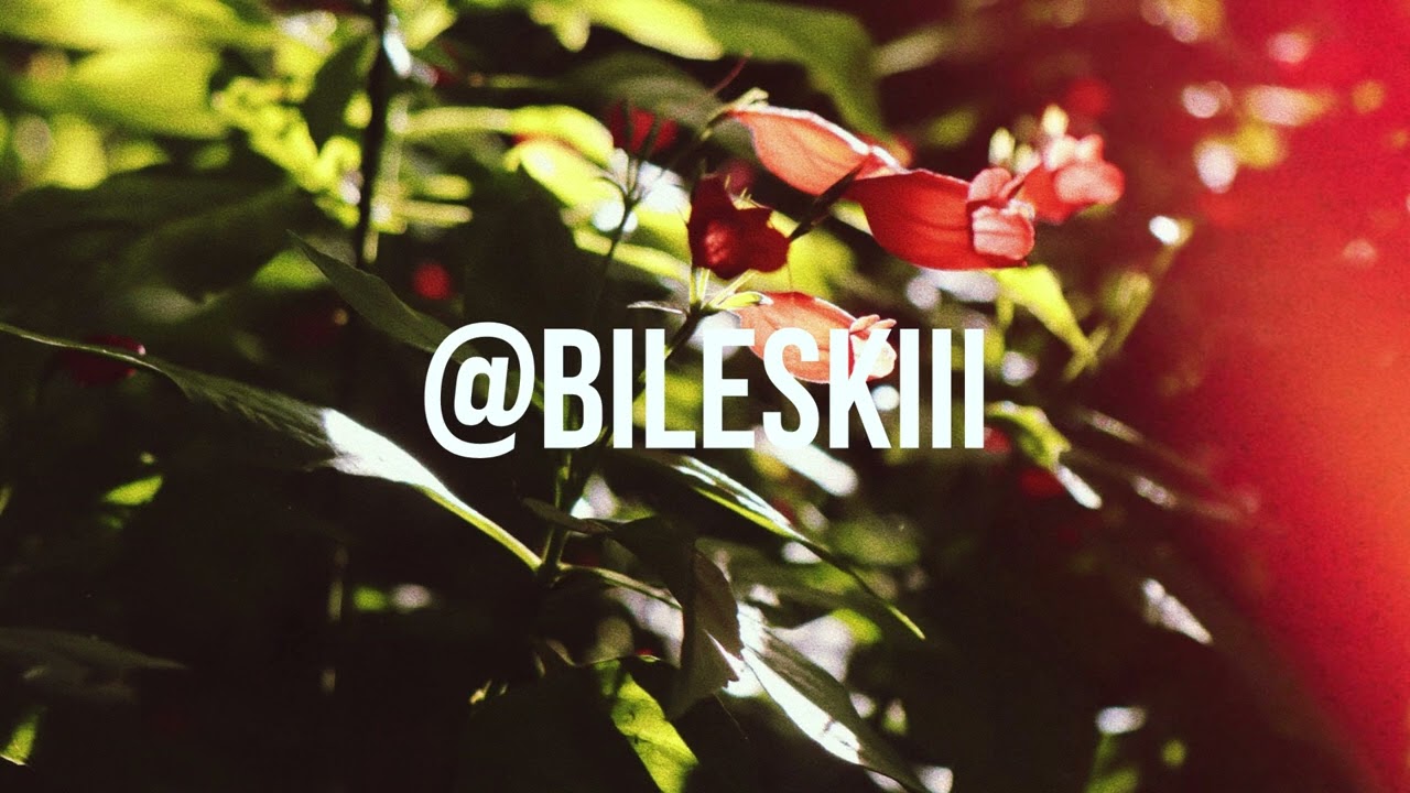 Bileski - Empty