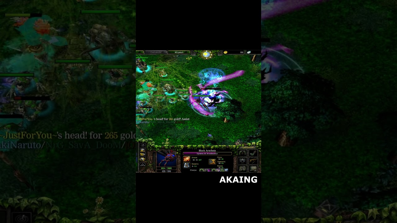 Defense of the Ancients 6.68b - 2010 | legendary build - infight BROODMOTHER by AKAING vs BG dota