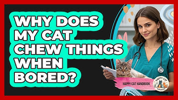 Why Does My Cat Chew Things When Bored?