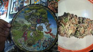 The Best Candy Strain Of 2026!? (Russian Gooseberry TBF)