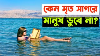 মৃত সাগর । Dead Sea । মৃত সাগর কি  এখানে কেন মানুষ ভেসে থাকে  Why Does Everyone Float In Dead Sea