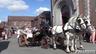 Mariage en calèche au chateau d attre +32473563760
