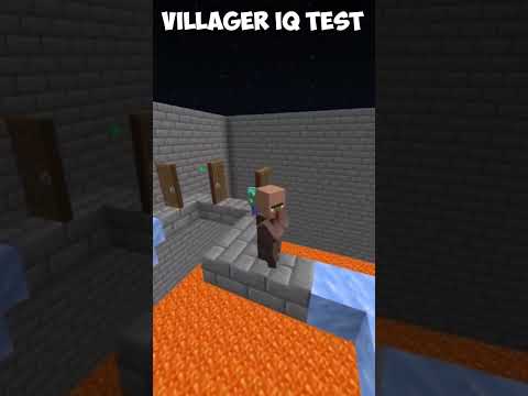 Villager IQ Test
