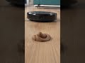 eufy Omni C20 - Clean Where You Want