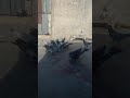 حمام بلدي لا لكيف