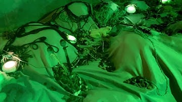 "Artificial Taxonomies" 2025 - Full Installation Video Documentation