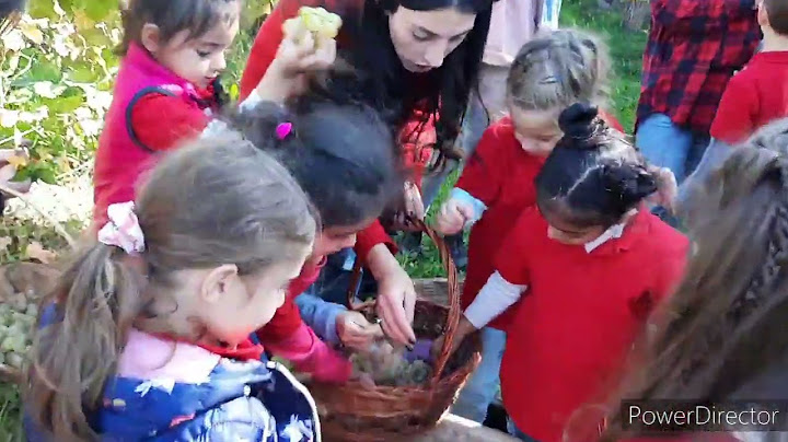 Խաղողածեսն Ագարակ գյուղում