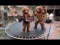 Hưng Vlog - Giả Làm Gấu Lầy Troll Mẹ Lấy Cắp Bạt Nhún Của Bà Tân Vlog