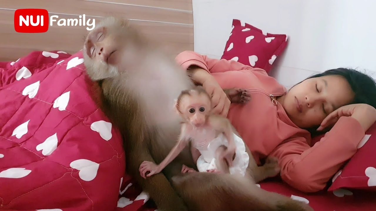 Nui and daughter Poni wish everyone good night | Nui Family