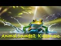 Animal sounds2official song