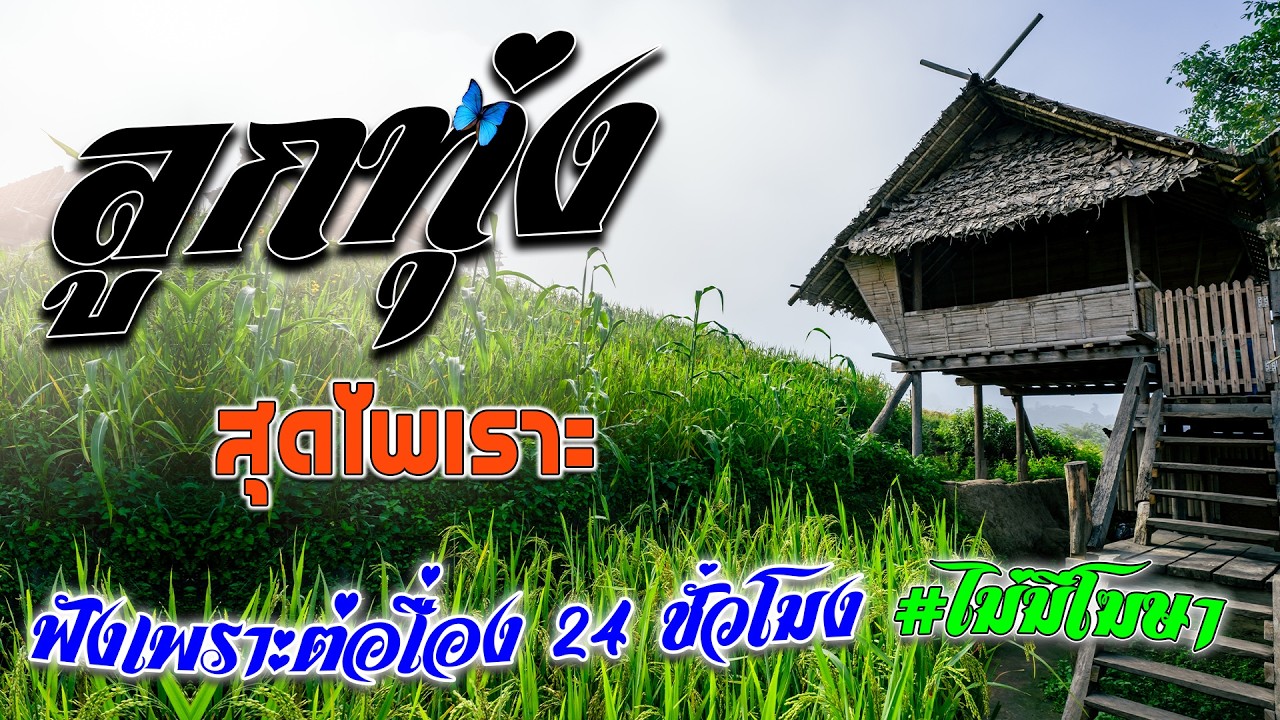 ลูกทุ่งสุดไพเราะ 🎶 คัดมาพิเศษ ฟังต่อเนื่อง 24 ชั่วโมง #ไม่มีโฆษณา