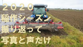 ２０２０稲作シーズンを振り返って