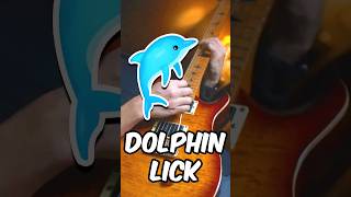 I accidentally played a dolphin-calling guitar lick