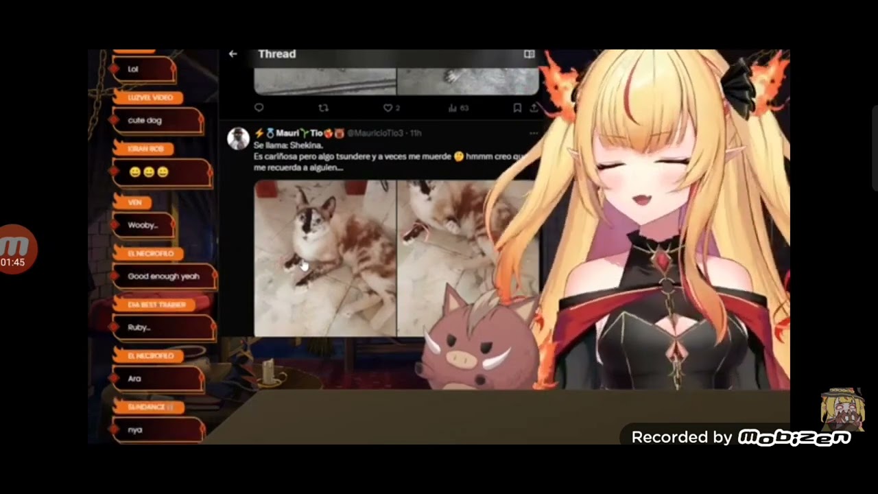 Ruby Viendo las Mascotas de sus Seguidores - YouTube