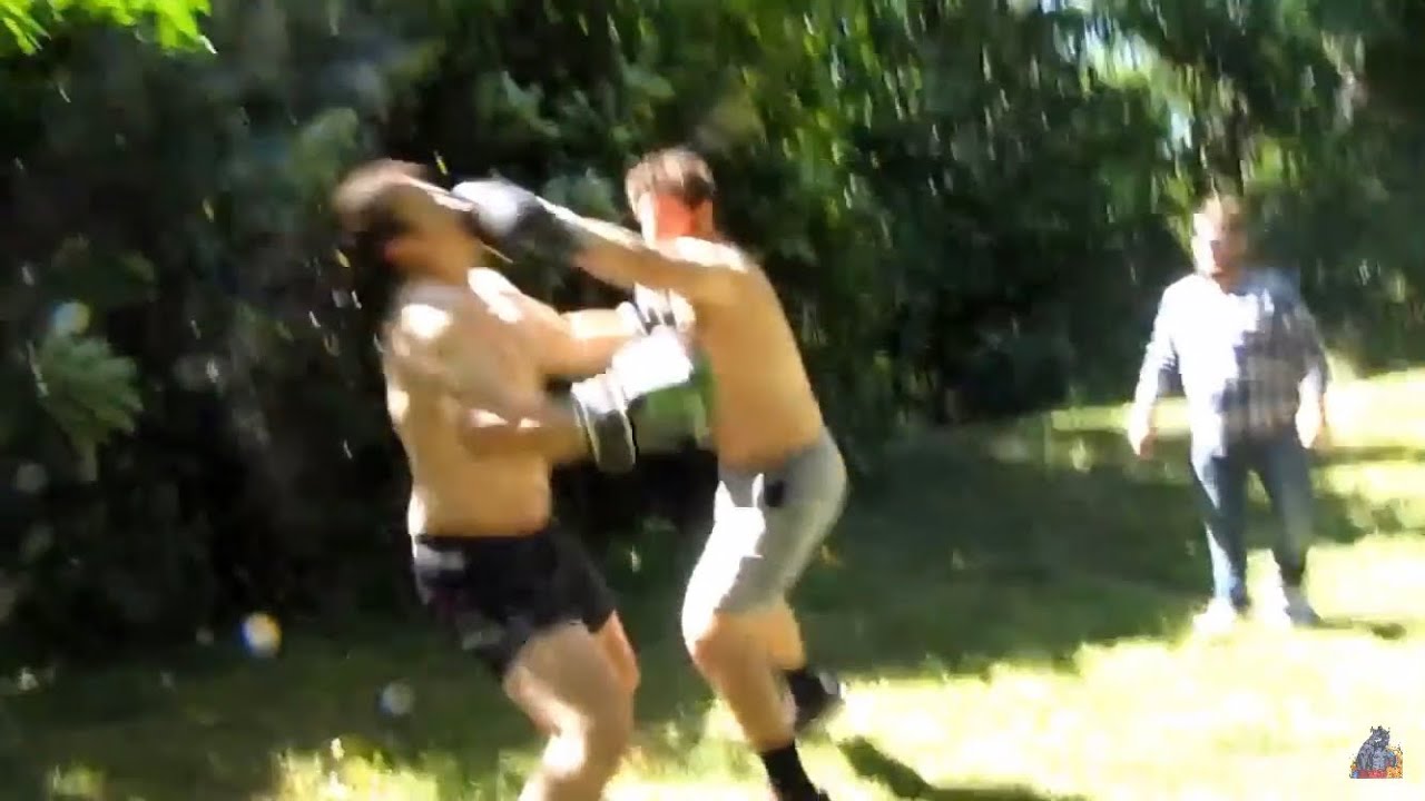Beef Fight Ends in TKO!!!! 😴🥊 - YouTube