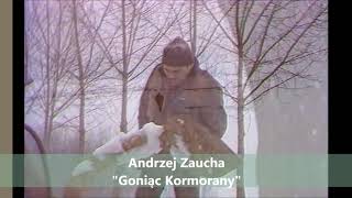 Andrzej Zaucha - Goniąc kormorany (1987)