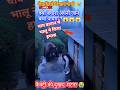 चाय बागान में खतरनाक भालू ने किया मालिक पर भयंकर हमला ! 😱😱😱 #shorts #viralvideo #latest