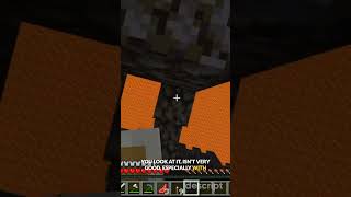 Nether Escape and Resource Loss
