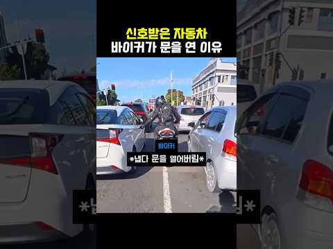 무개념 vs 무개념 바이커의 대결 thumbnail