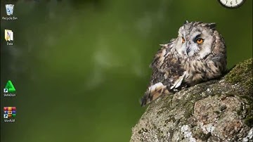 How to change pitch of any sound on filmora