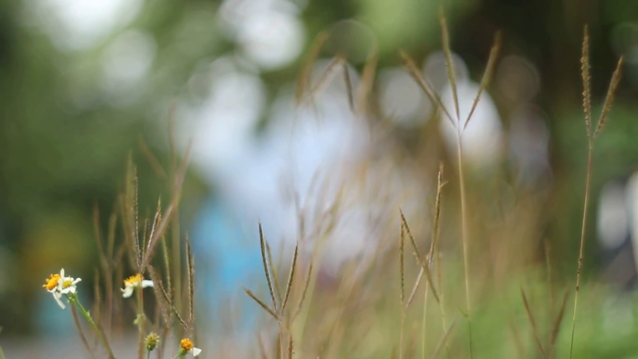 EBC Fujinon 50mm f1.4 [M42] - YouTube