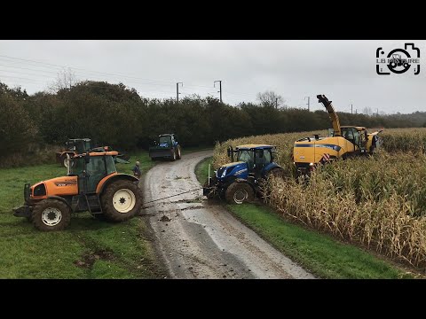 Ensilage 2020 |