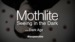 Watch Mothlite Seeing In The Dark video