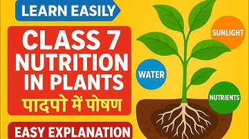 Nutrition in Plants Class 7 | पादपों में पोषण | Class 7 Science Chapter 1 Explained | Learn Easily