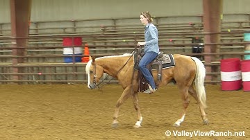 Genuine Cowboy Bars - easy walk, low and slow jog, stops! - ValleyViewRanch.net