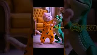 lucu sekali!!! kucing lucu ini nyanyi cicak cicak di dinding 🦎🦎🦎