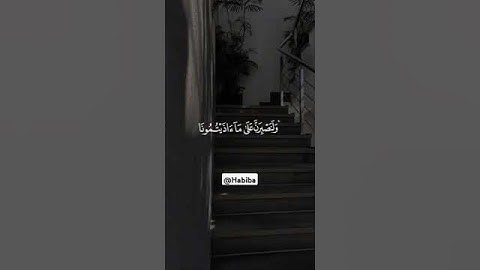 #قرآن #تلاوة_خاشعة #راحة_نفسية #لايك #شير #اكسبلور 🤍🤍🤍🤍🤍🤍🤍🤍🤍🤍🤍