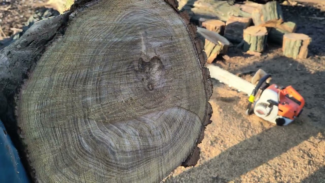 Csont száraz tüzifa darabolás (akác) a Stihl 08s-gépemmel a két ünnep között 😁🎉🎉