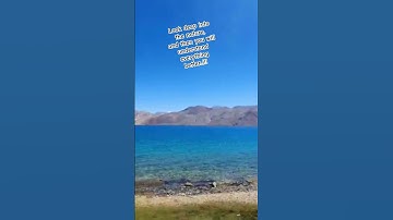 Thumbnail of #wildlife #lake #calm #love #serenity #bliss #travel #trending #viral #music #song #music #nature