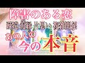 [ガチ鳥肌レベル❗️]あの人の今の本音💕深掘りリーディング💕