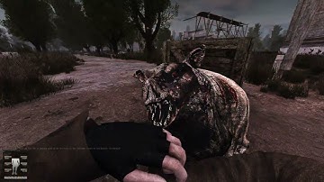 S.T.A.L.K.E.R. Anomaly: Old World Custom v1.0.8 (4K) Gameplay - Part 12