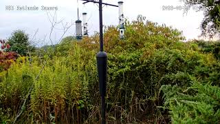 RTMP 2 Test