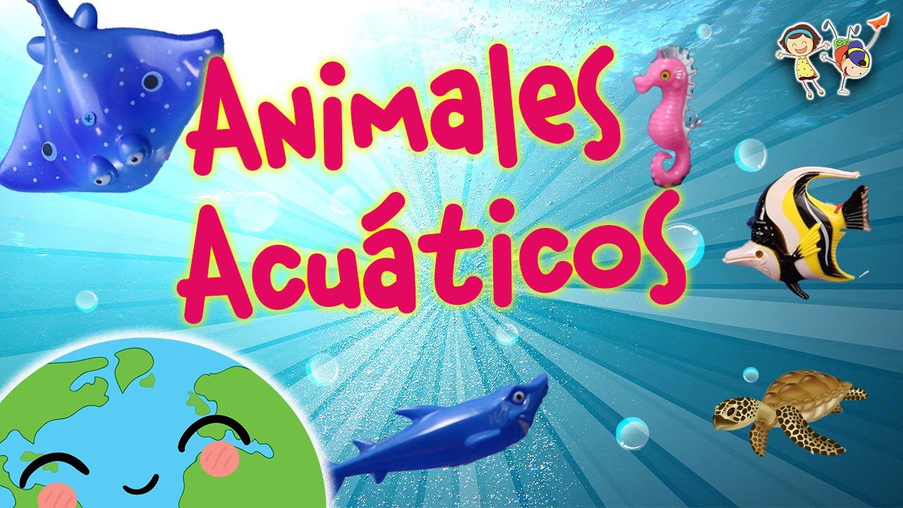 Animales Acuáticos para Niños de Primaria y Preescolar