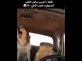 إذا ضحكت فلايك ومازال كثير فيديوهات تضحك