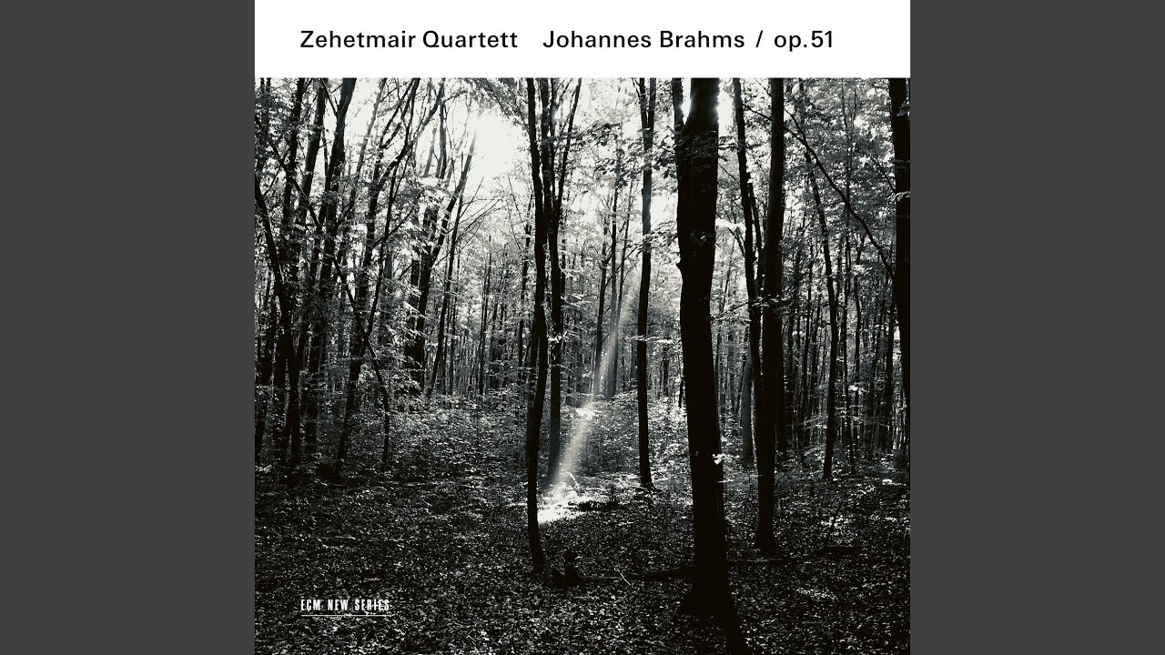 Watch Brahms: String Quartet No. 2 in A Minor, Op. 51 No. 2: I. Allegro non troppo on YouTube