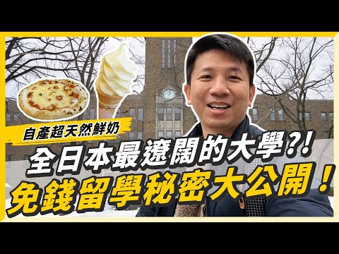 【日本留學系列】日本留學獎學金超豐厚？！學生食堂500日幣吃飽飽！