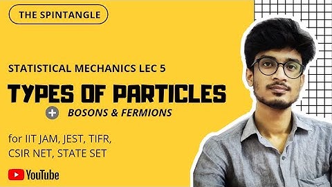 TYPES OF PARTICLES  | Statistical Mechanics Lec- 5 | JEST, IIT JAM, TIFR, CSIR NET, State SET