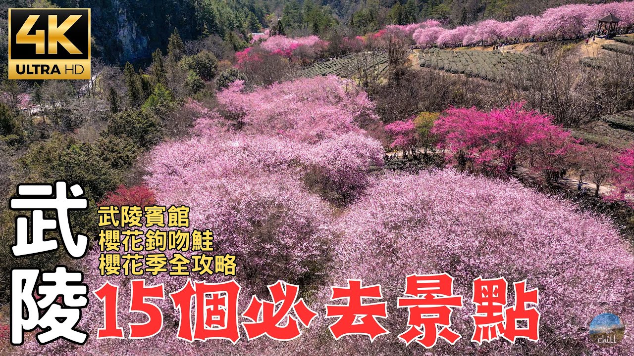 Тайваньская ферма Вулин Сезон цветения вишни Углубленный тур