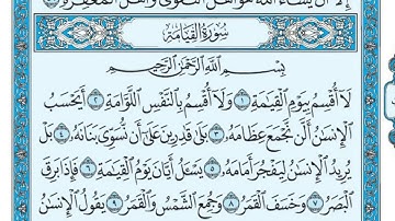 سعد الغامدی سورة القيامة 75 - تەفسیری كوردی سورەتی القيامة بەدەنگی هەندرێن  Tafseri Surati Al- Qyama