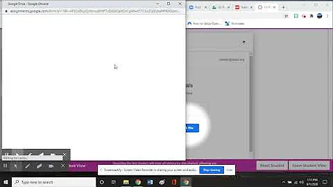 How to submit a Google Drive Assignment on Canvas