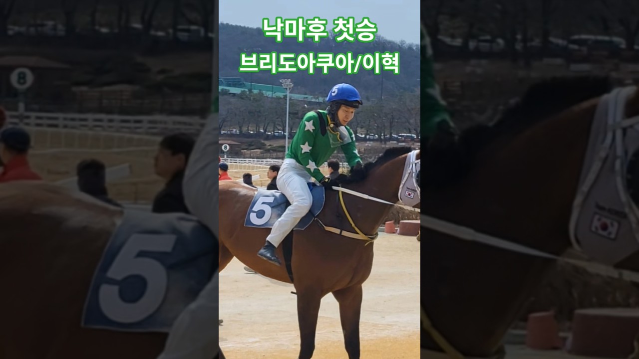 이젠 떨어지지마!^^ #경마 #말 #달려라말 #shorts #horse