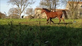 Aywan Liberté Décembre 2015