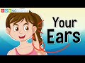 Ear Health and Care Awareness